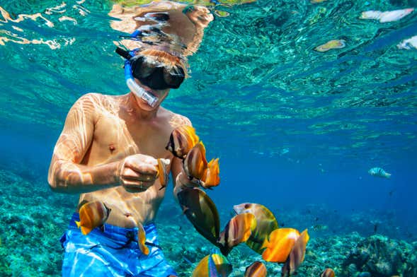 Snorkeling à Nusa Penida et Nusa Lembongan